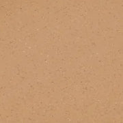 Colorescience Flex SPF 50 Tinted