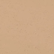 Colorescience Flex SPF 50 Tinted